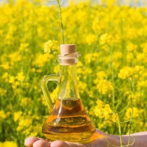 RAPESEED OIL / CANOLA OIL