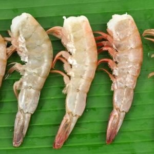 WILD MEXICAN SHRIMP - U / 12 (SHELL ON)