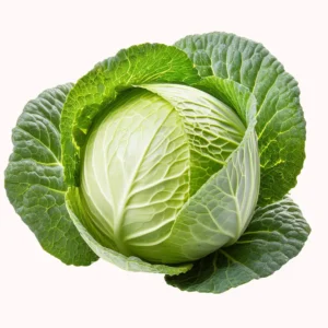 Fresh Cabbages