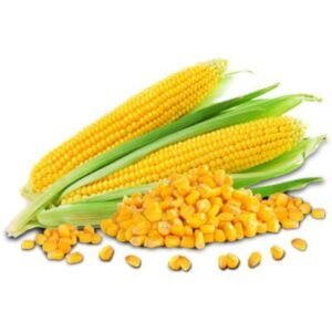 Yellow Corn