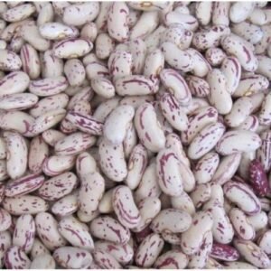 Light Speckle Kidney Beans